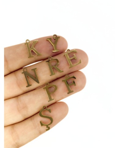 Çelik Kulplu Harf Kolye Bileklik Ucu Charm Altın 12x13mm 1 Adet
