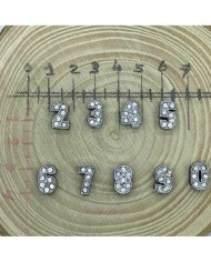 Taşlı Rakam - Kulpsuz  Gümüş - 6 - 2 Adet