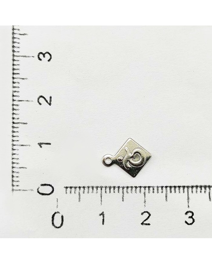 Metal Pirinç Pul - M285 -  10x12 mm  1Kg