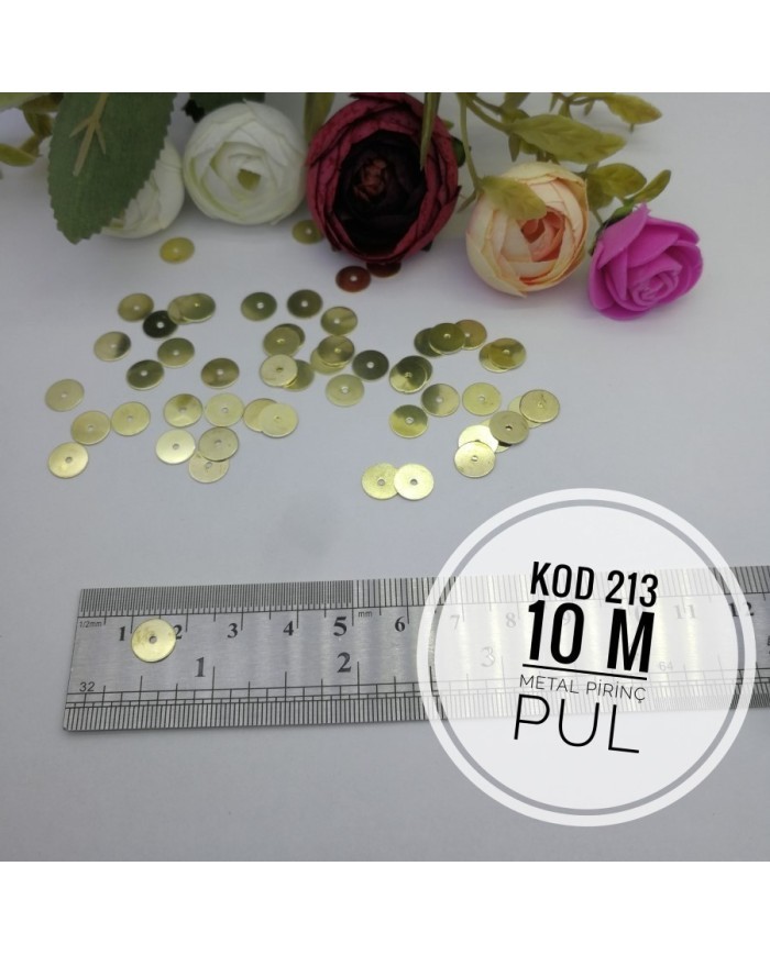 Metal Pirinç Pul - M213  - 10mm  1Kg