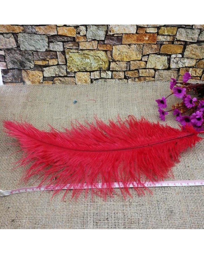 Tekli Kuş Tüyü - Kırmızı- 25/30 cm