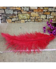 Tekli Kuş Tüyü - Pembe