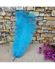 Tekli Kuş Tüyü - Açık Mavi- 25/30 cm
