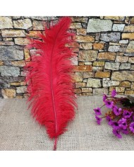 Tekli Kuş Tüyü Kısa - Kırmızı- 25/30 cm
