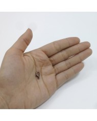 100 adet Bakır Takı Apartı Papağan Klips  502