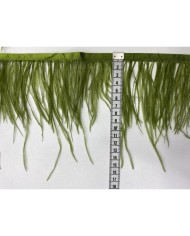Deve Kuşu Tüyü Mint 1 Metre
