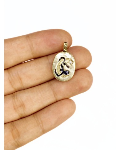 Pirinç Zirkon Mineli Oval Plaka Ay Figürlü Kolye Bileklik Ucu Charm Altın Renk 1 Adet