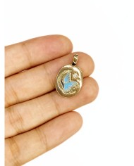 Pirinç Zirkon Mineli Oval Plaka Kelebek Figürlü Kolye Bileklik Ucu Charm Altın Renk 1 Adet