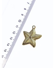 Metalize Deniz Yıldızı Kolye Bileklik Ucu Charm 1 Adet