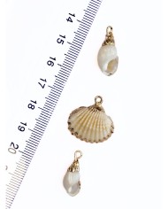 Pirinç Zirkon Mineli Büyük Deniz Kabuğu Kolye Bileklik Ucu Charm 1 Adet