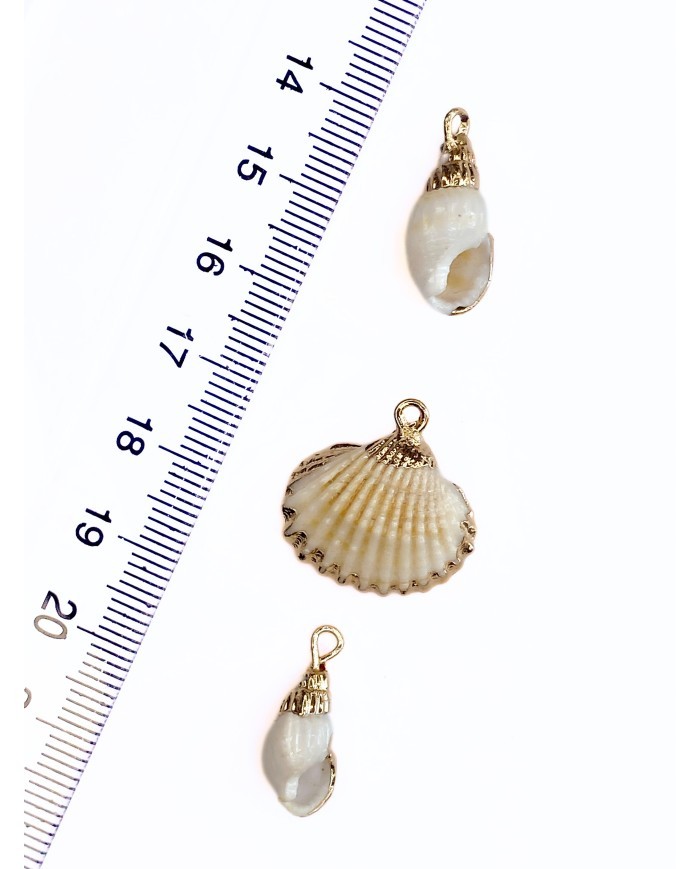 Pirinç Zirkon Mineli Küçük Deniz Kabuğu Kolye Bileklik Ucu Charm 1 Adet