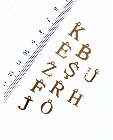 Çelik Kulplu Harf Kolye Bileklik Ucu Charm Altın 12x13mm 1 Adet