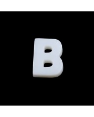 Doğal sedef taş Kolye Küpe Ucu - B HARF