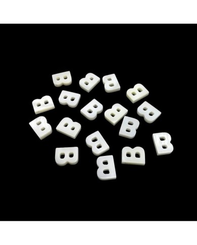 Doğal sedef taş Kolye Küpe Ucu - B HARF